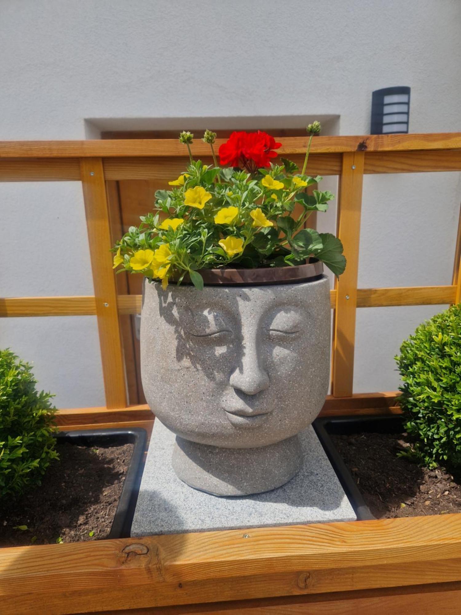 Schlatter Apartament